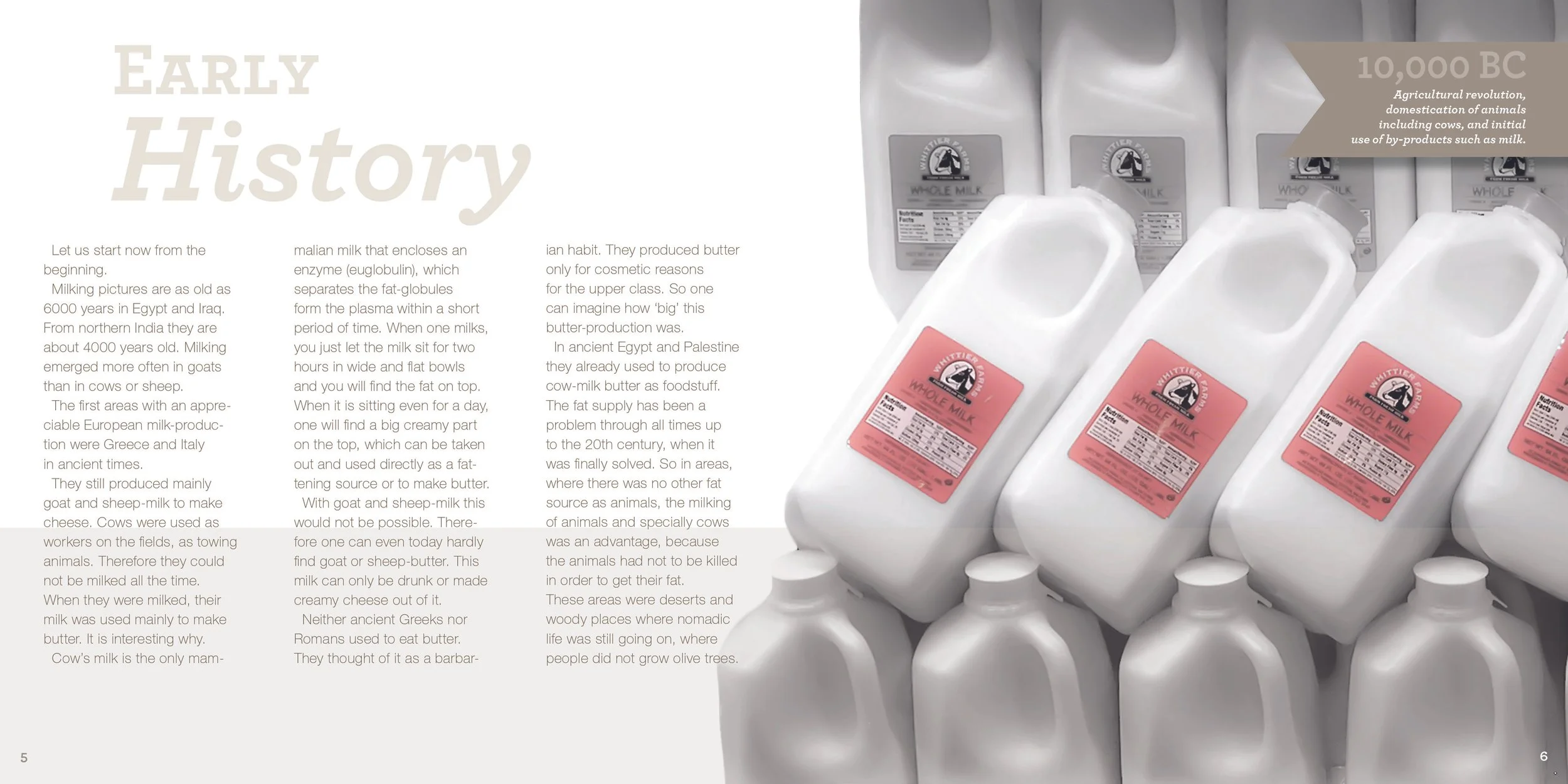 4_The Utter Truth.jpg