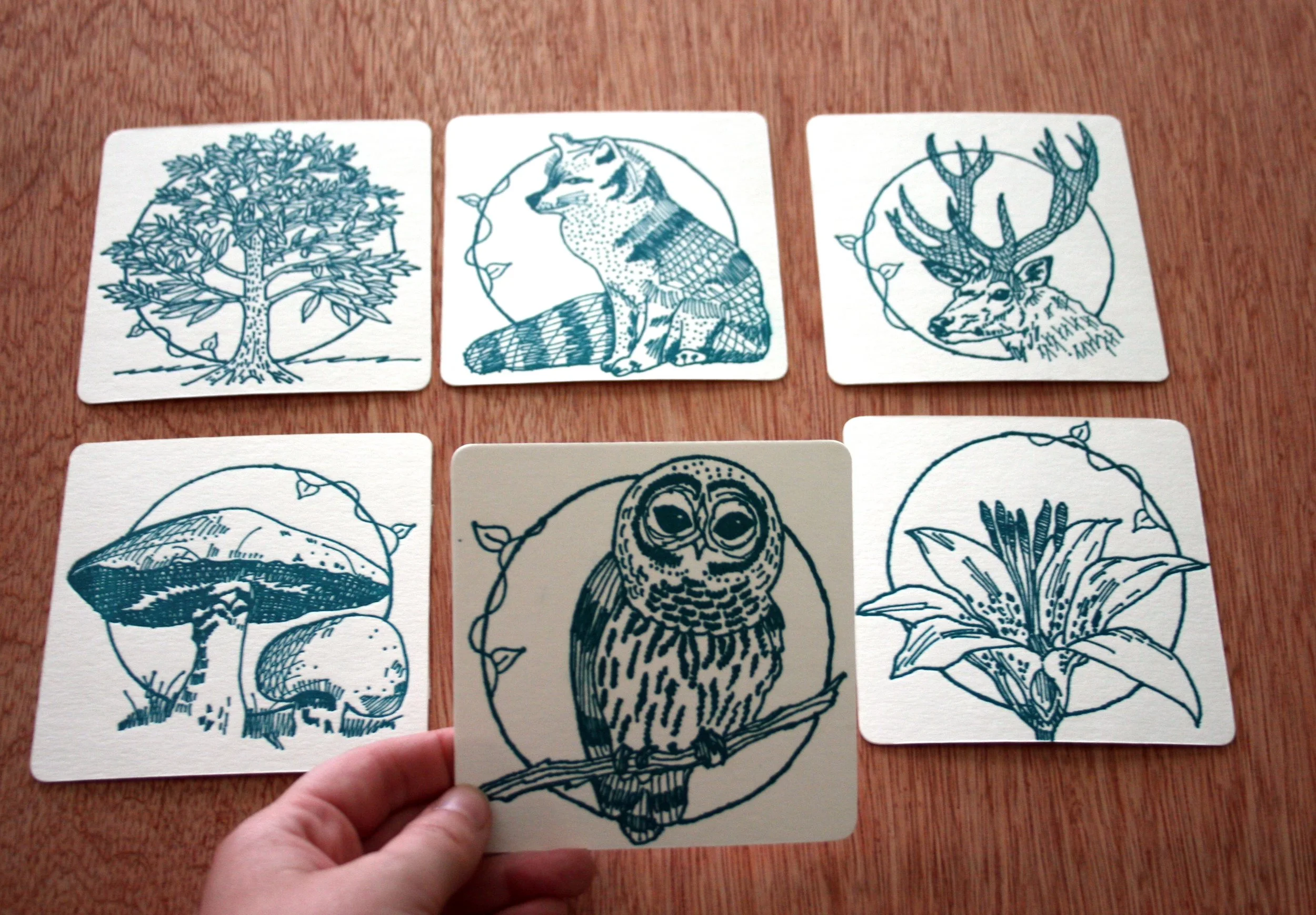 2_ForestLover'sCoasters.jpg