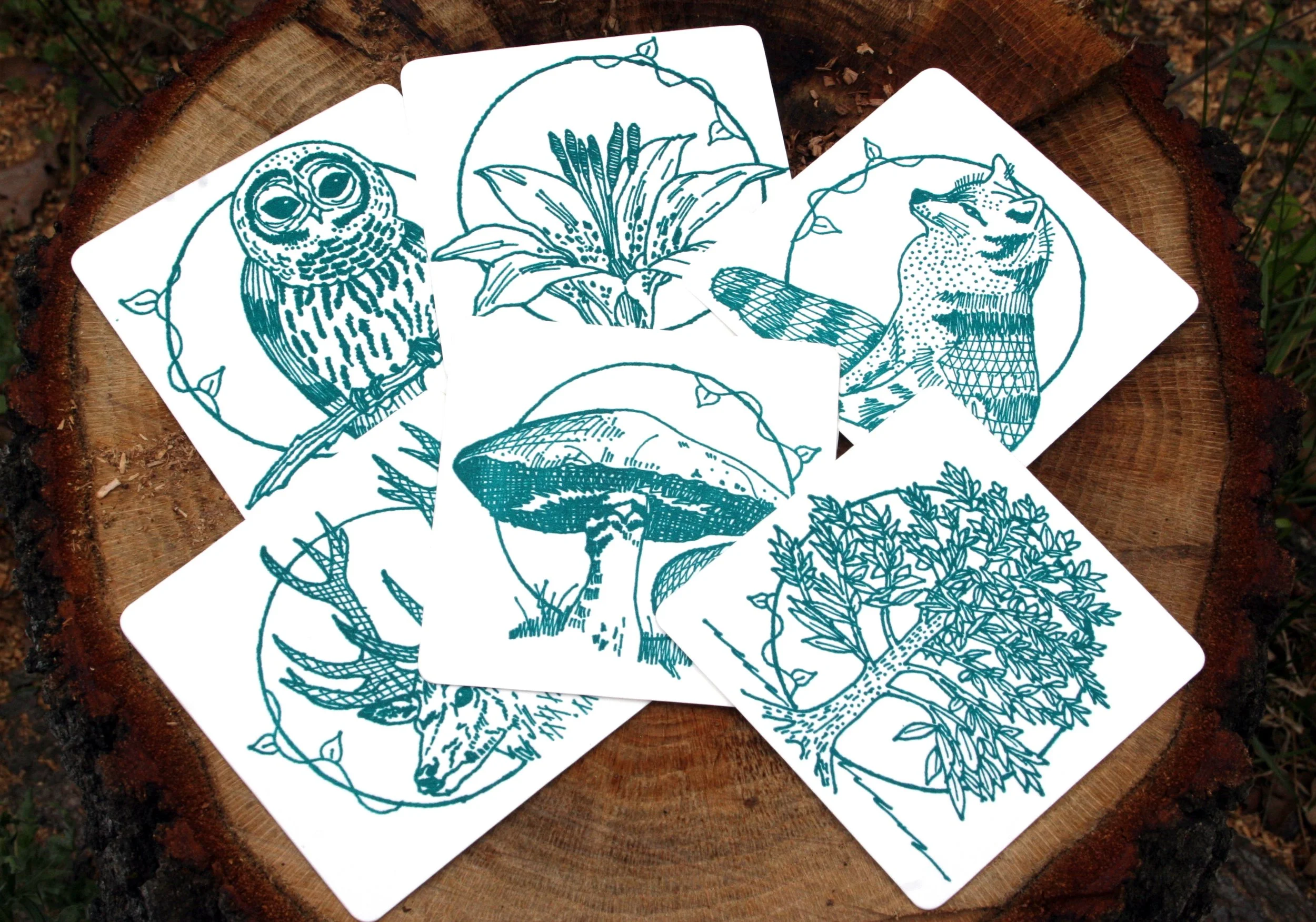 4_ForestLover'sCoasters.jpg