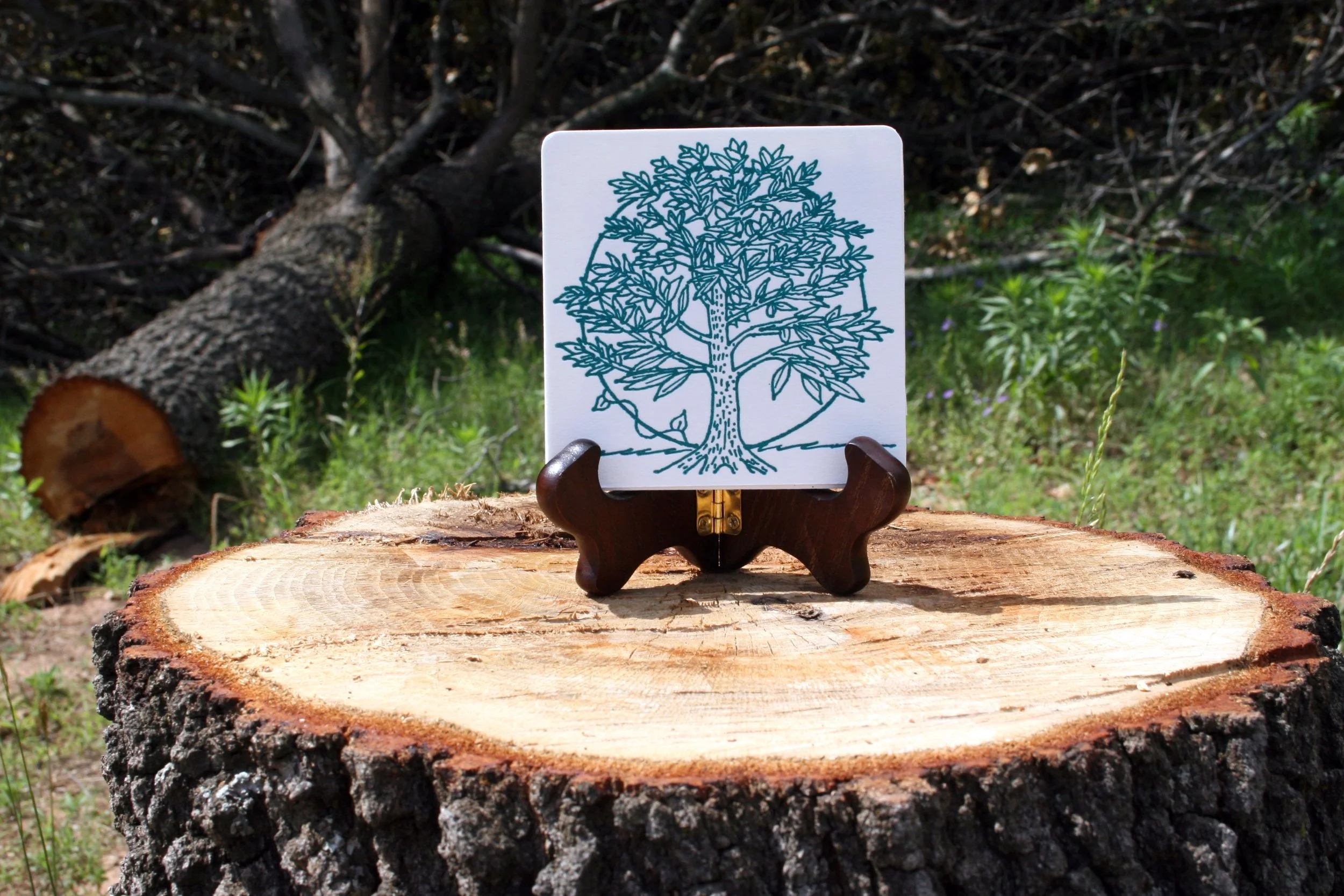 5_ForestLover'sCoasters.jpg