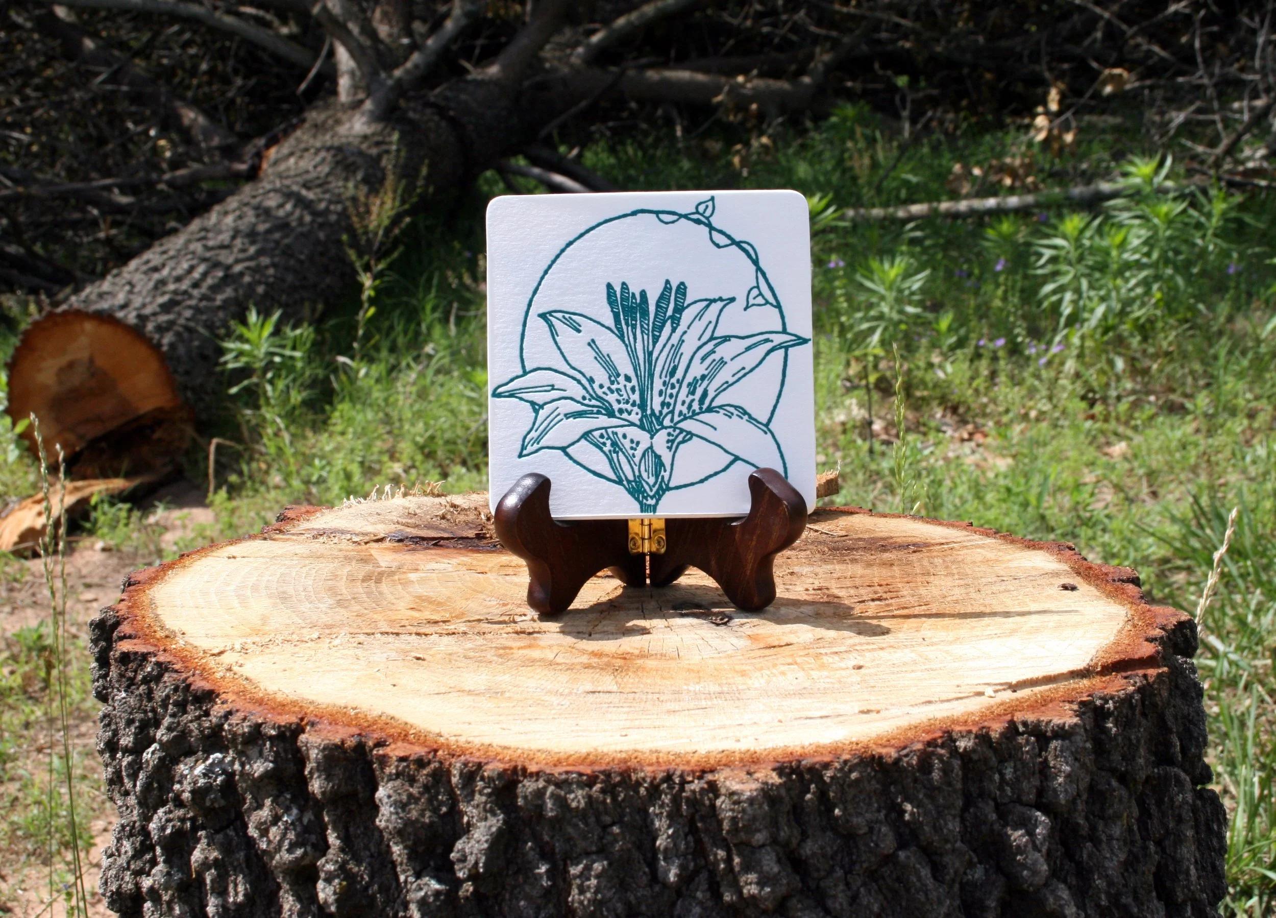 6_ForestLover'sCoasters.jpg
