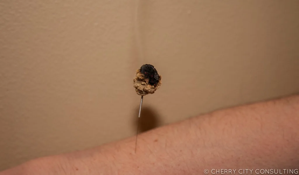 FireFluff1-1024x599.jpg