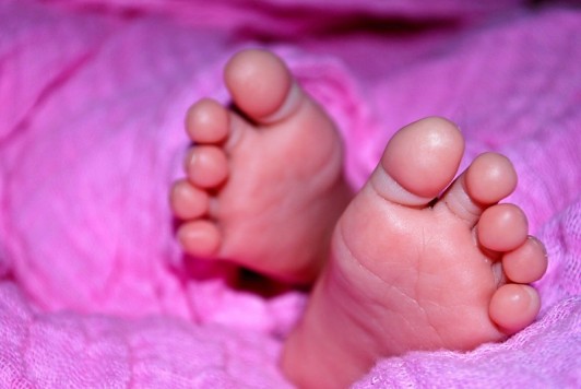 feet.jpg