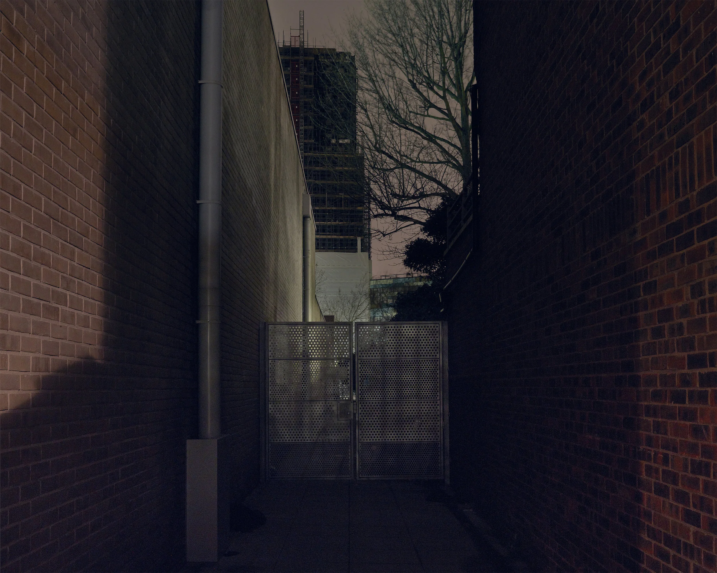 Shadowland_Hi_Res_MASTER_10x8_adj_0005_Layer 1.jpg