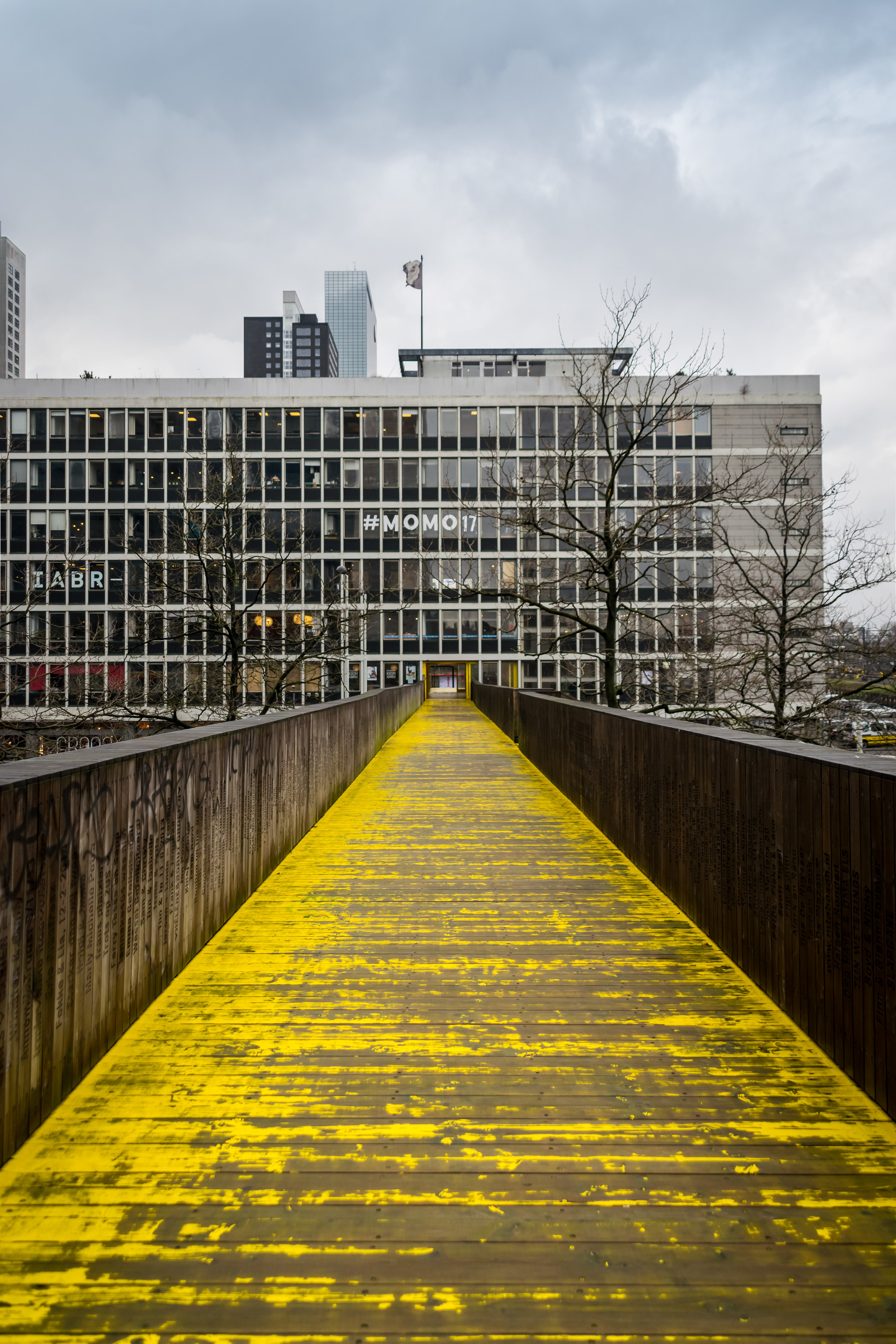 pedestrian bridge-4.jpg