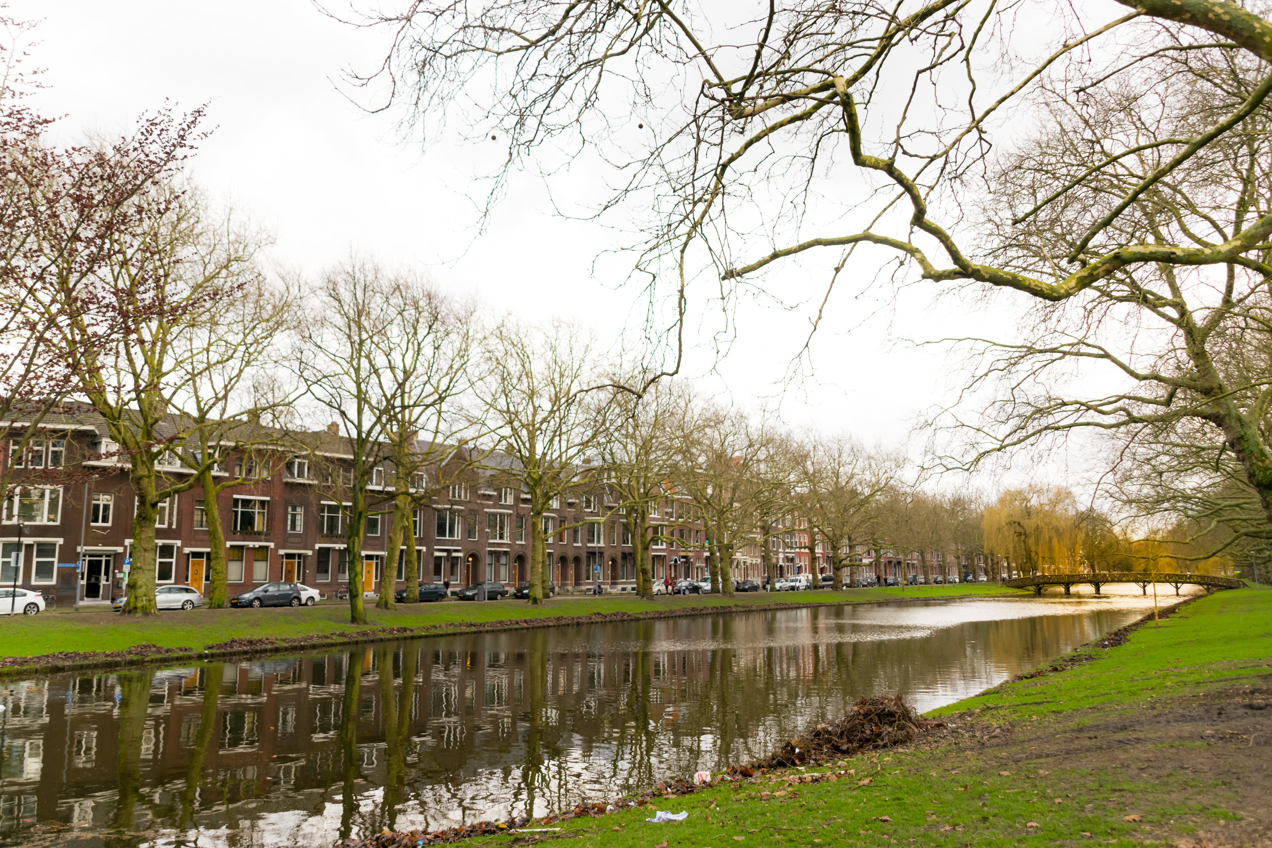 Rotterdam around-6.jpg