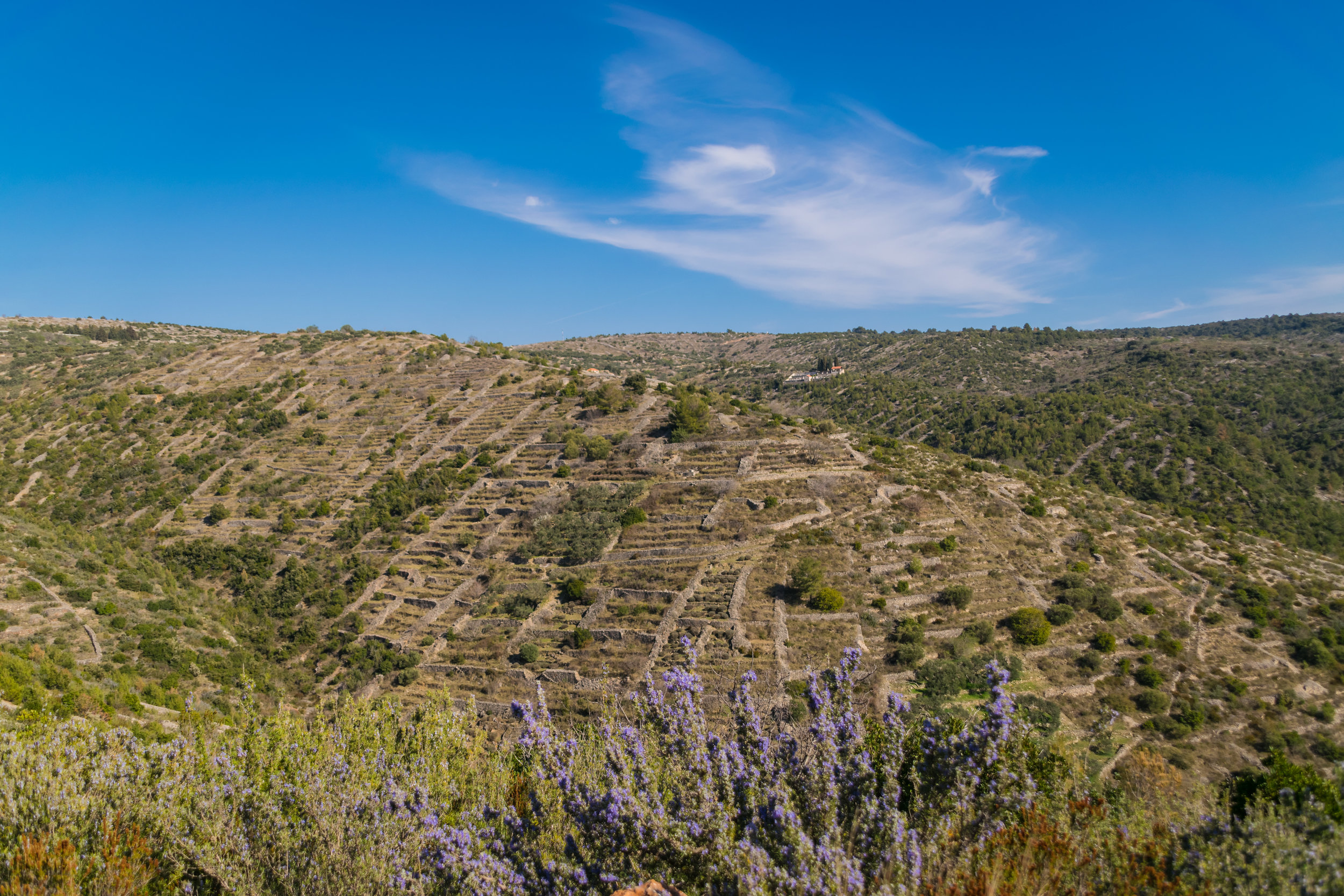 Stari Grad Plain-10.jpg