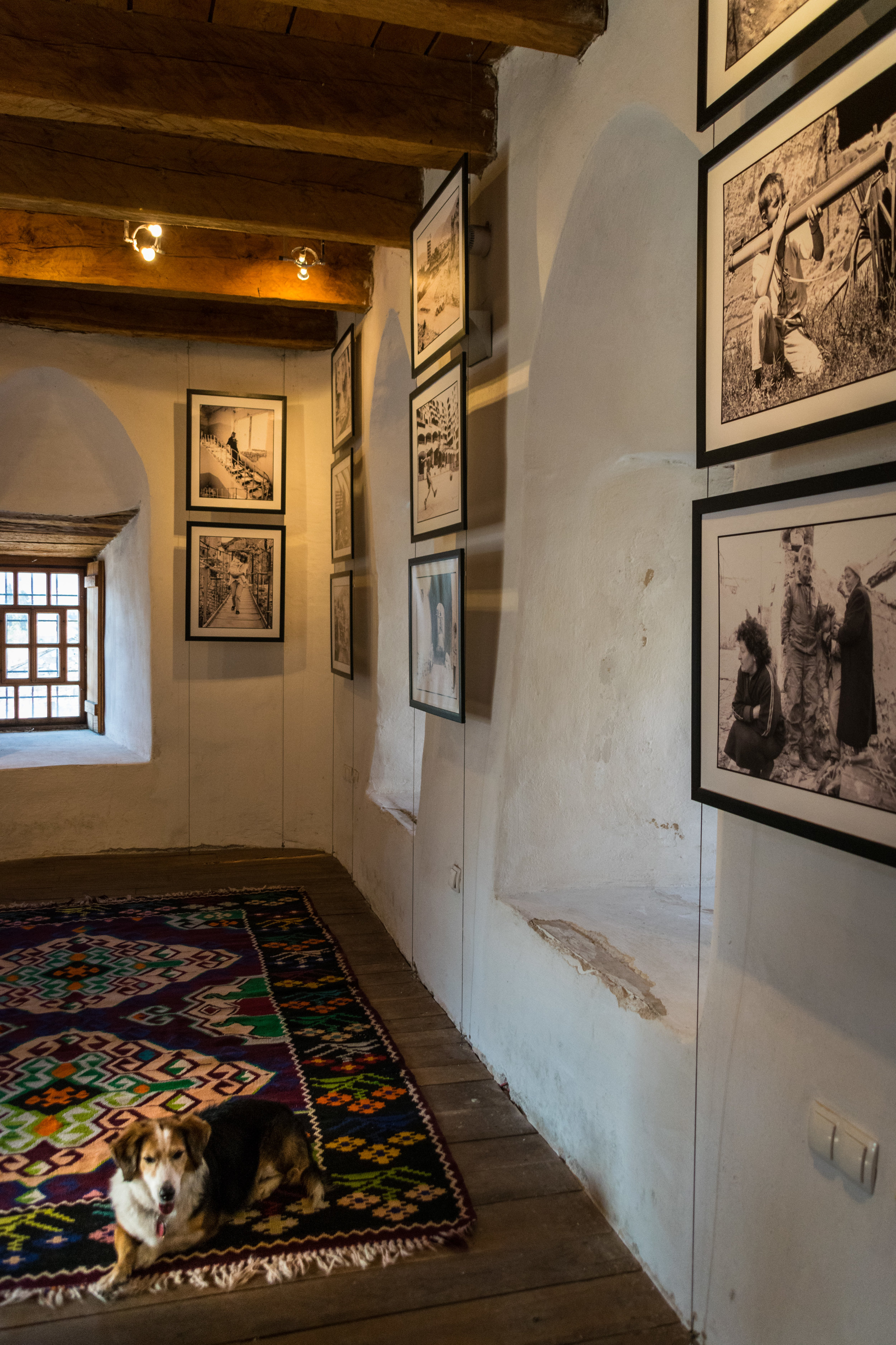 Mostar War Photo Exhibition-2.jpg