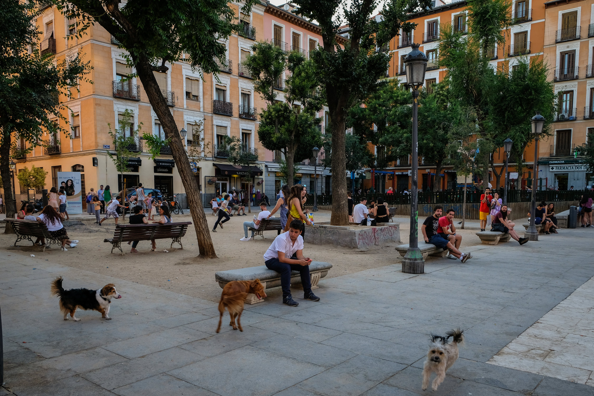 great example of a people-oriented public space: Plaza Dos de Mayo in Madrid, Spain