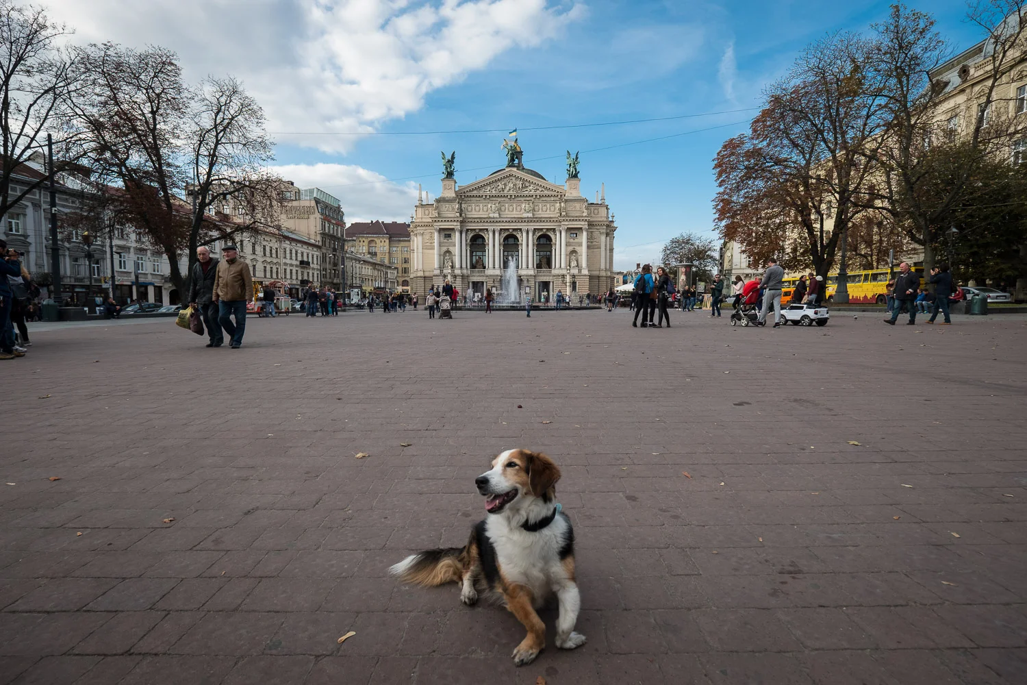 Lviv-4.jpg