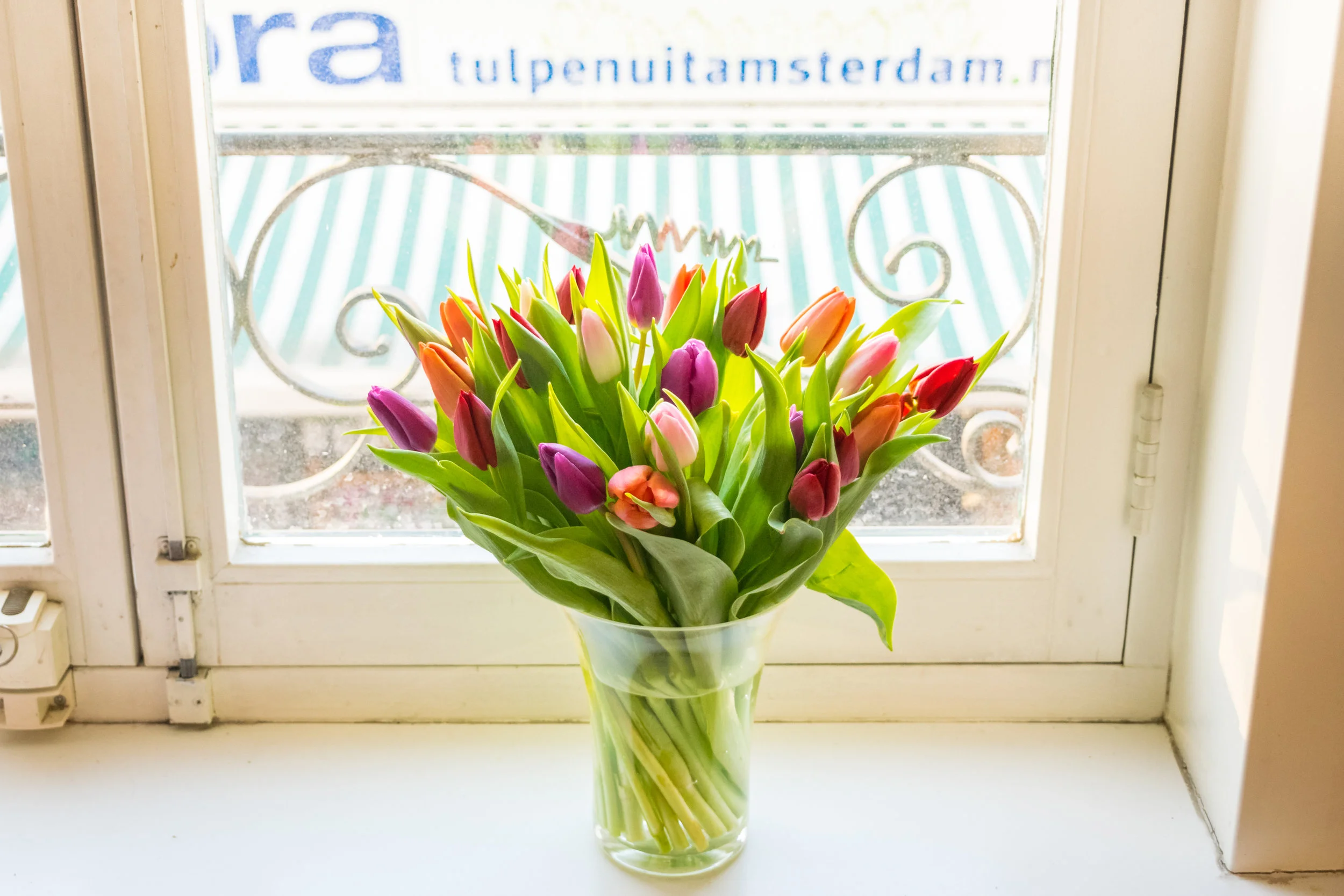 Netherlands_tulips.jpg