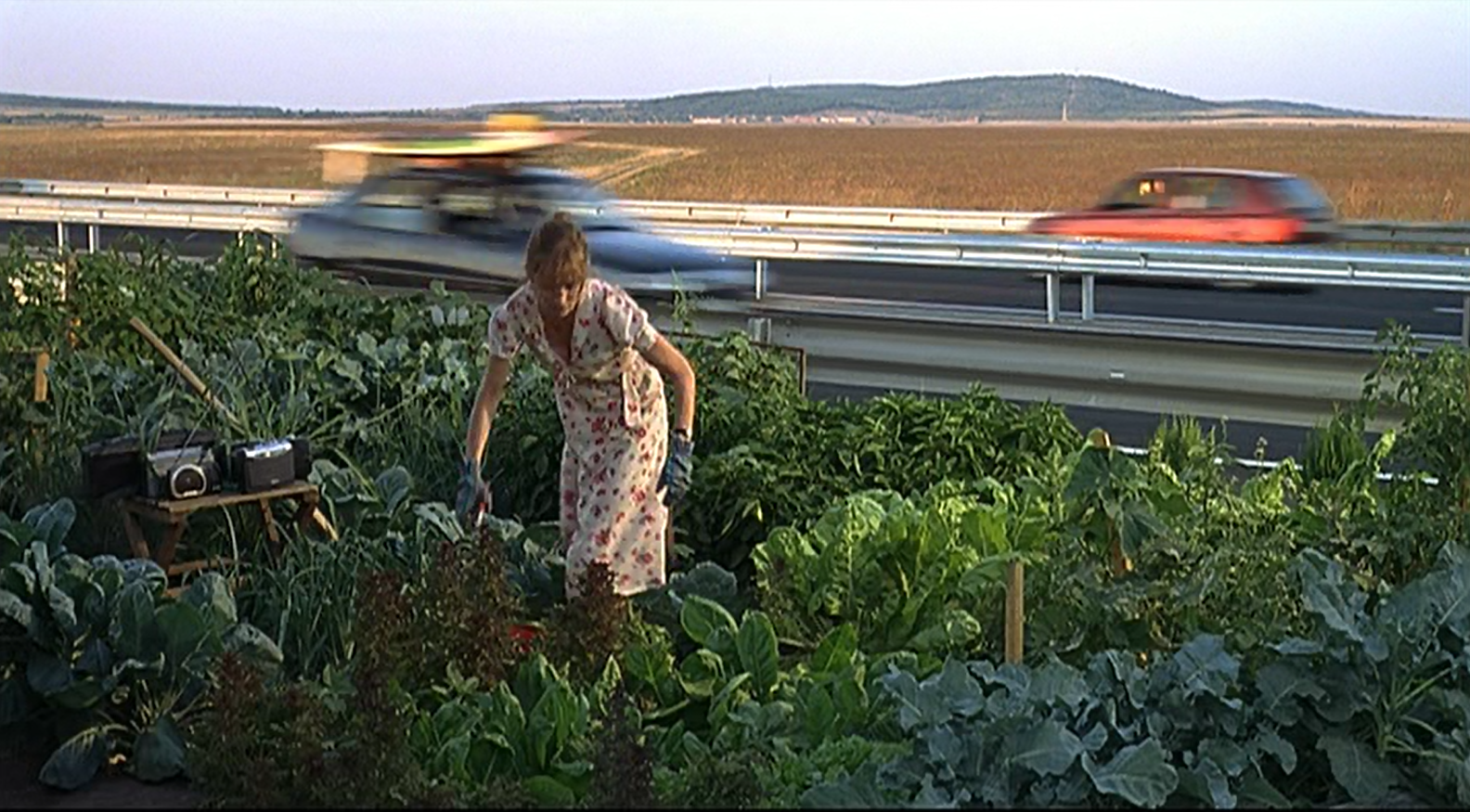 scene from 2008 French film "Home"