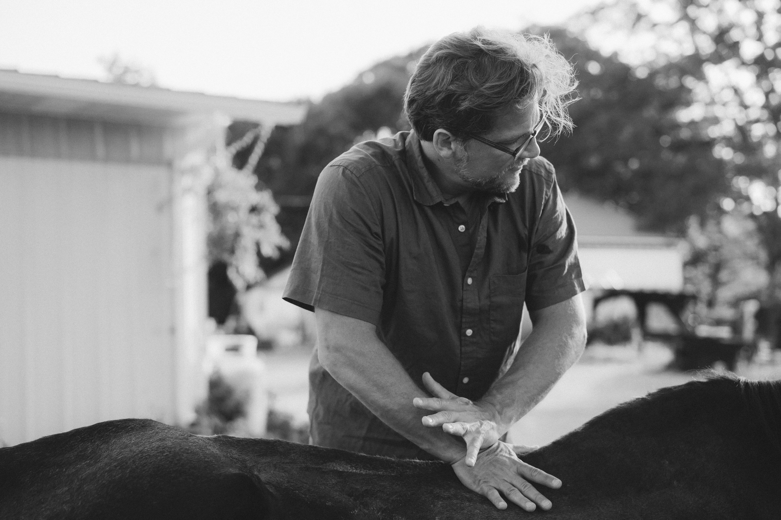 Animal Chiropractic — Dr. Paul Perreault