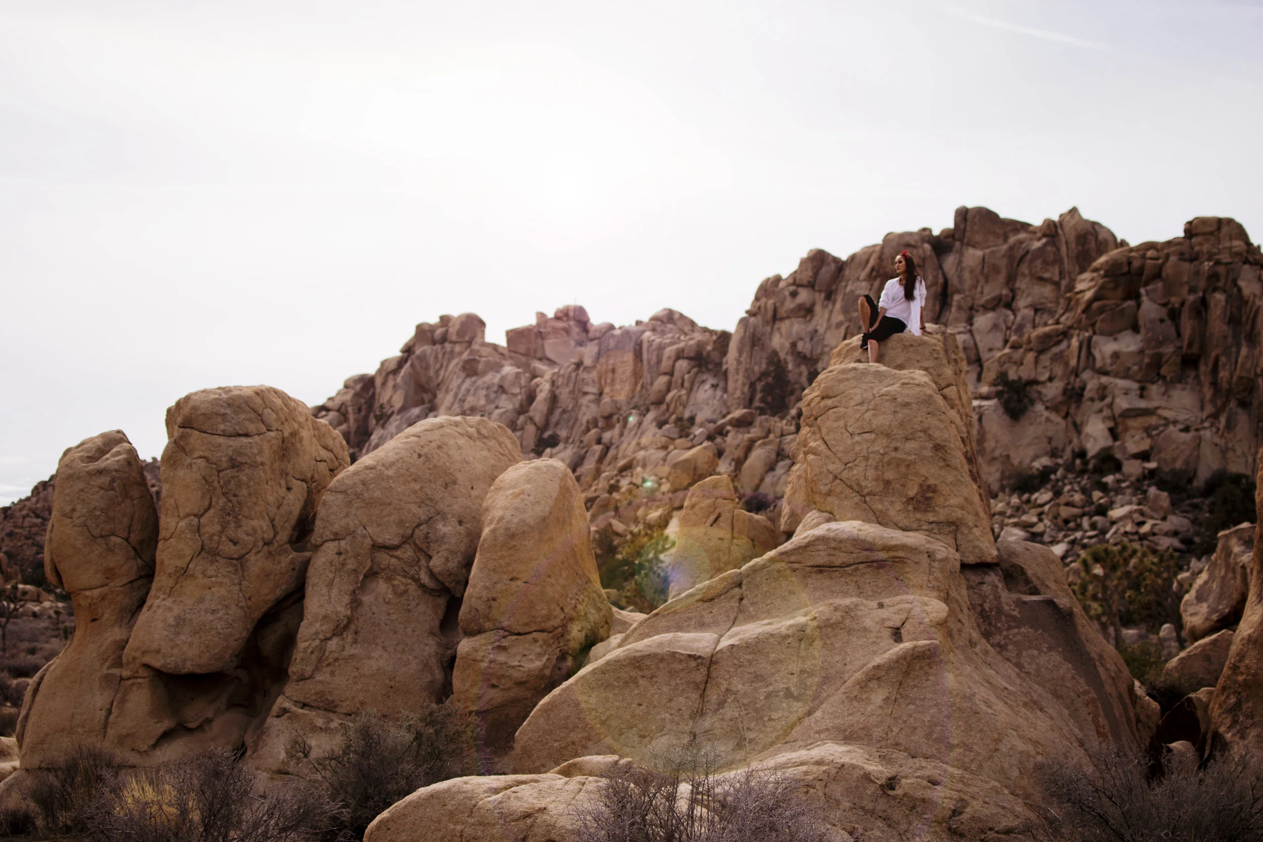 CA - Joshua Tree