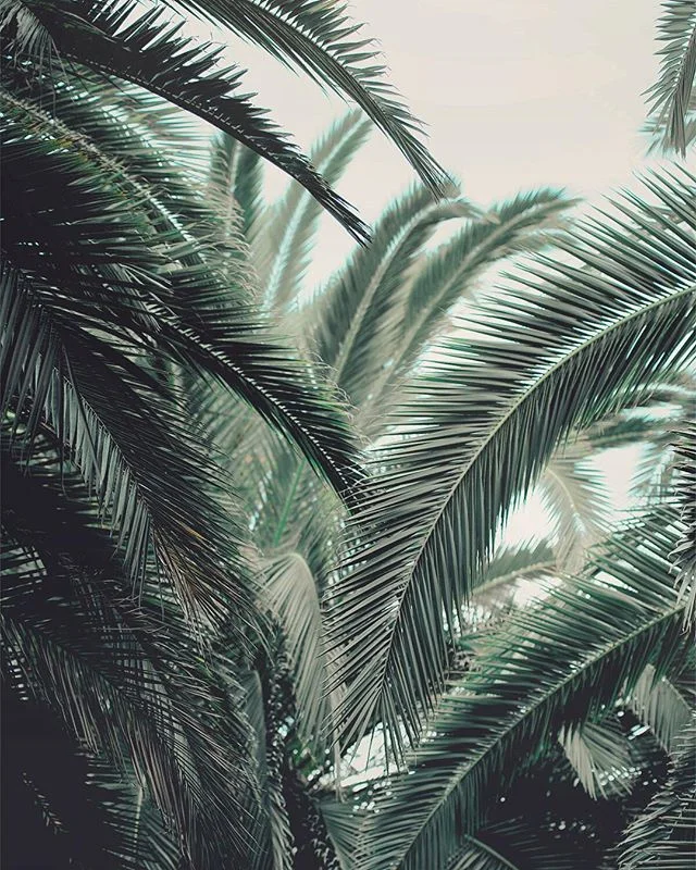 First day back in the real world and already itching to get back outside 🌴