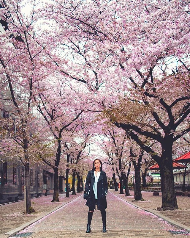 Take me back to one year ago today when I landed in Japan for the first time ever! Link in bio for my newest blog post featuring this trip (yes it did take me a full year to finally post about it 🤣)
.
.
.
.
.
.
.

#justgoshoot #passionpassport #expl