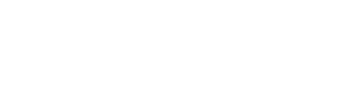 vice logo white.png