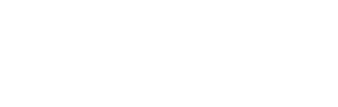 vice logo white.png