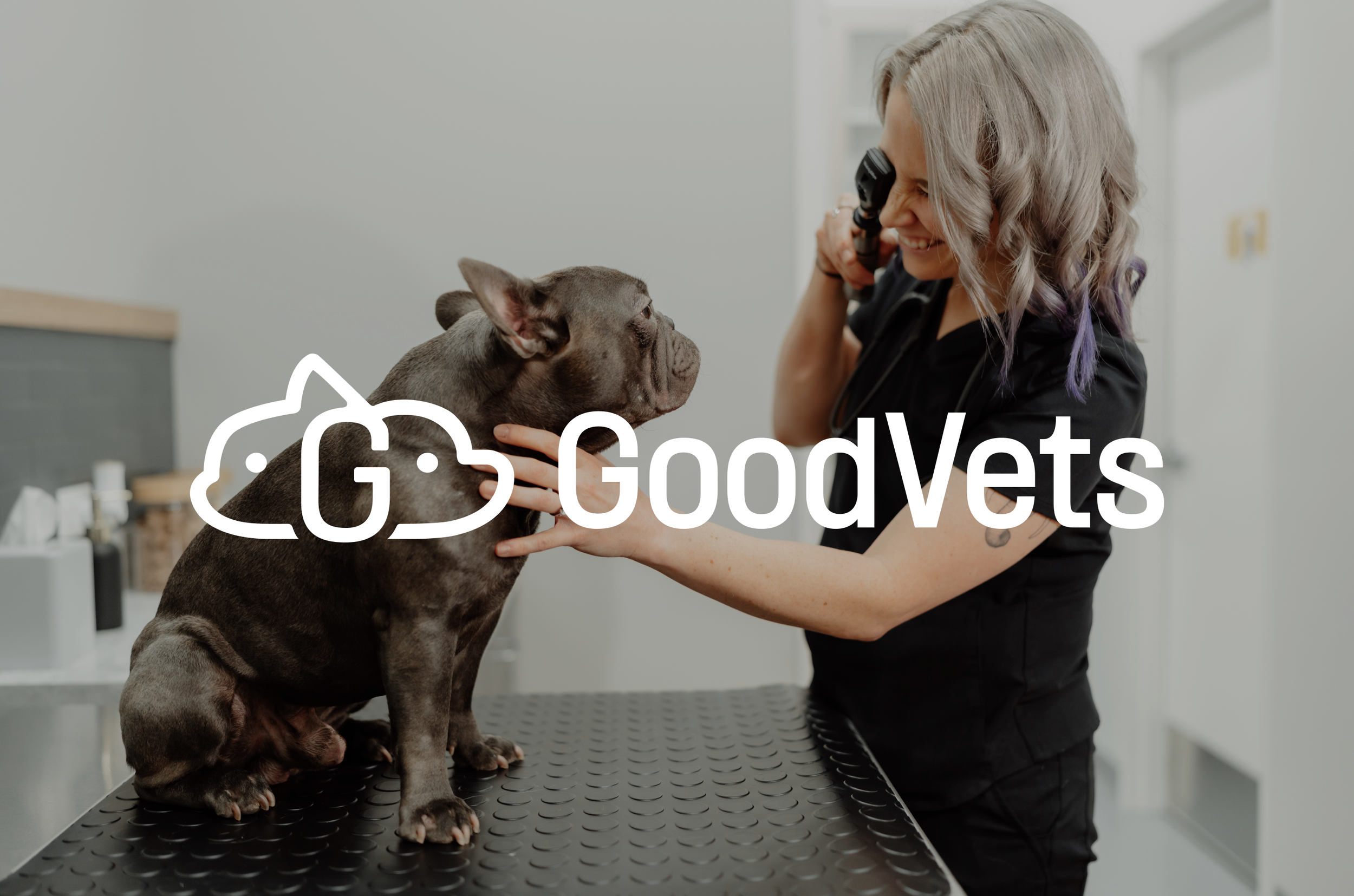 portfolio-goodvets-feature.png