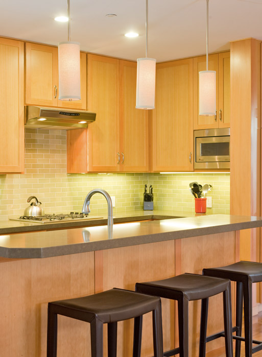 This modern kitchen hiding a complex seismic backbone, which opens the space for a light and airy galley kitchen. It is compact and efficient for city living.