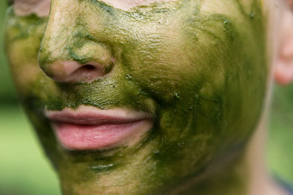 rejuvenating matcha facial mask
