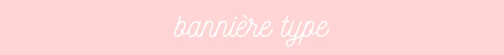 banniere type.jpg
