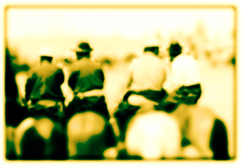 Audience at Naadam