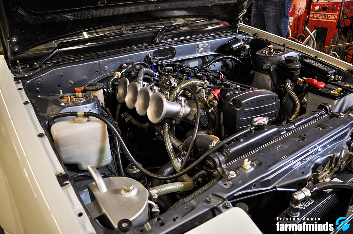 DSC_7378-copy.jpg