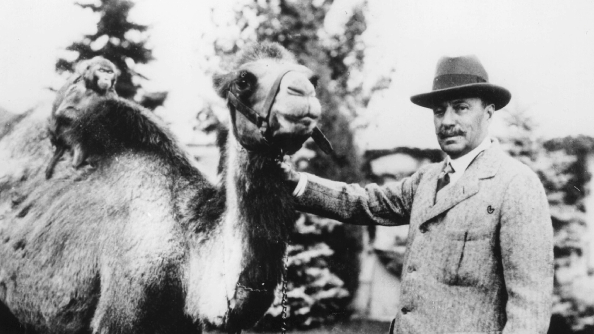 Spencer Penrose and a camel at his Cheyenne Mountain Zoo.