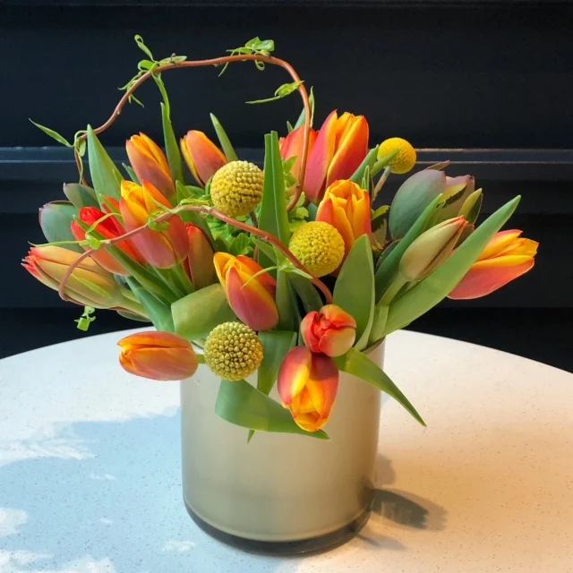 tulips.JPG