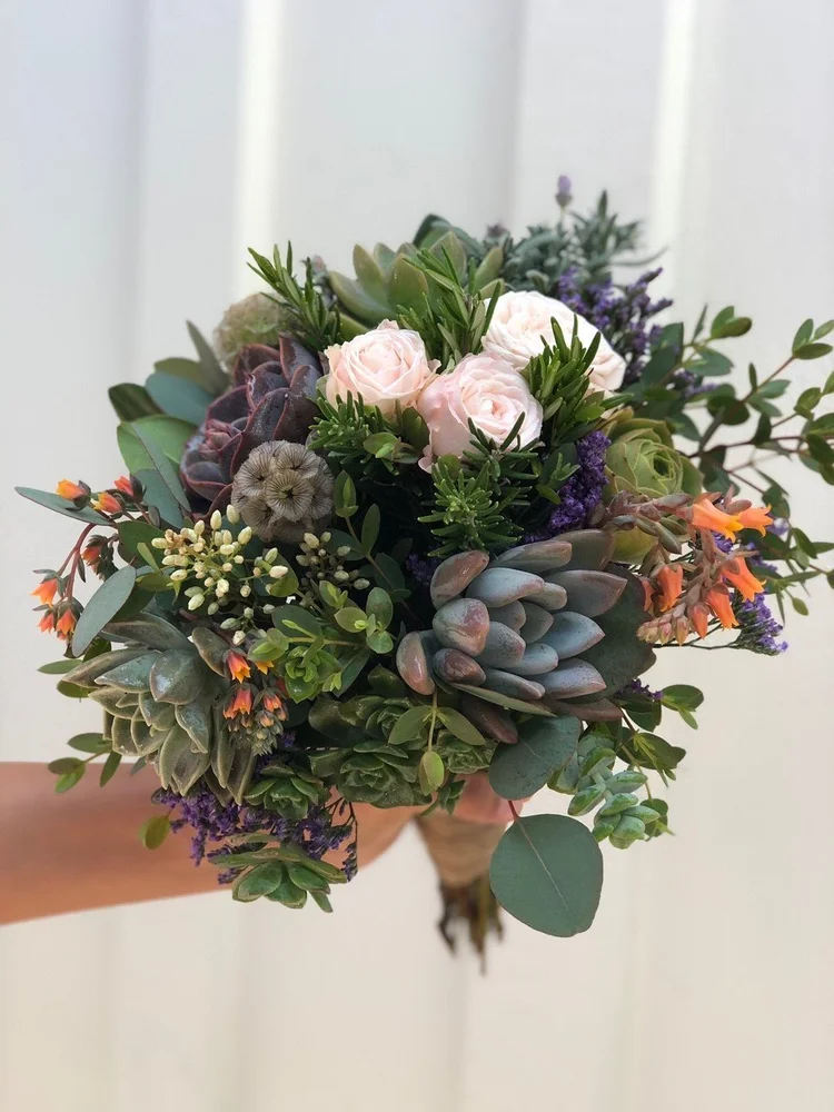Succulent Delivery  Thistle Floral