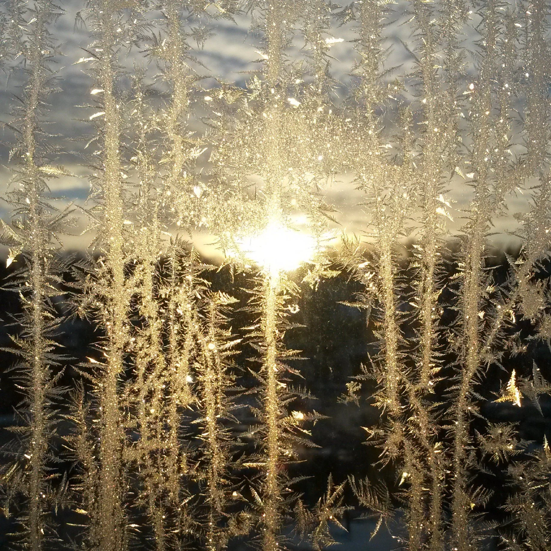 Morning frost at the train station.