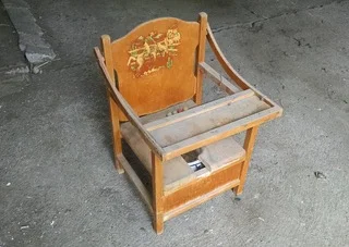 Potty chair.jpeg