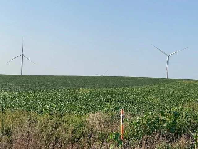 Young Farmland Auction 
