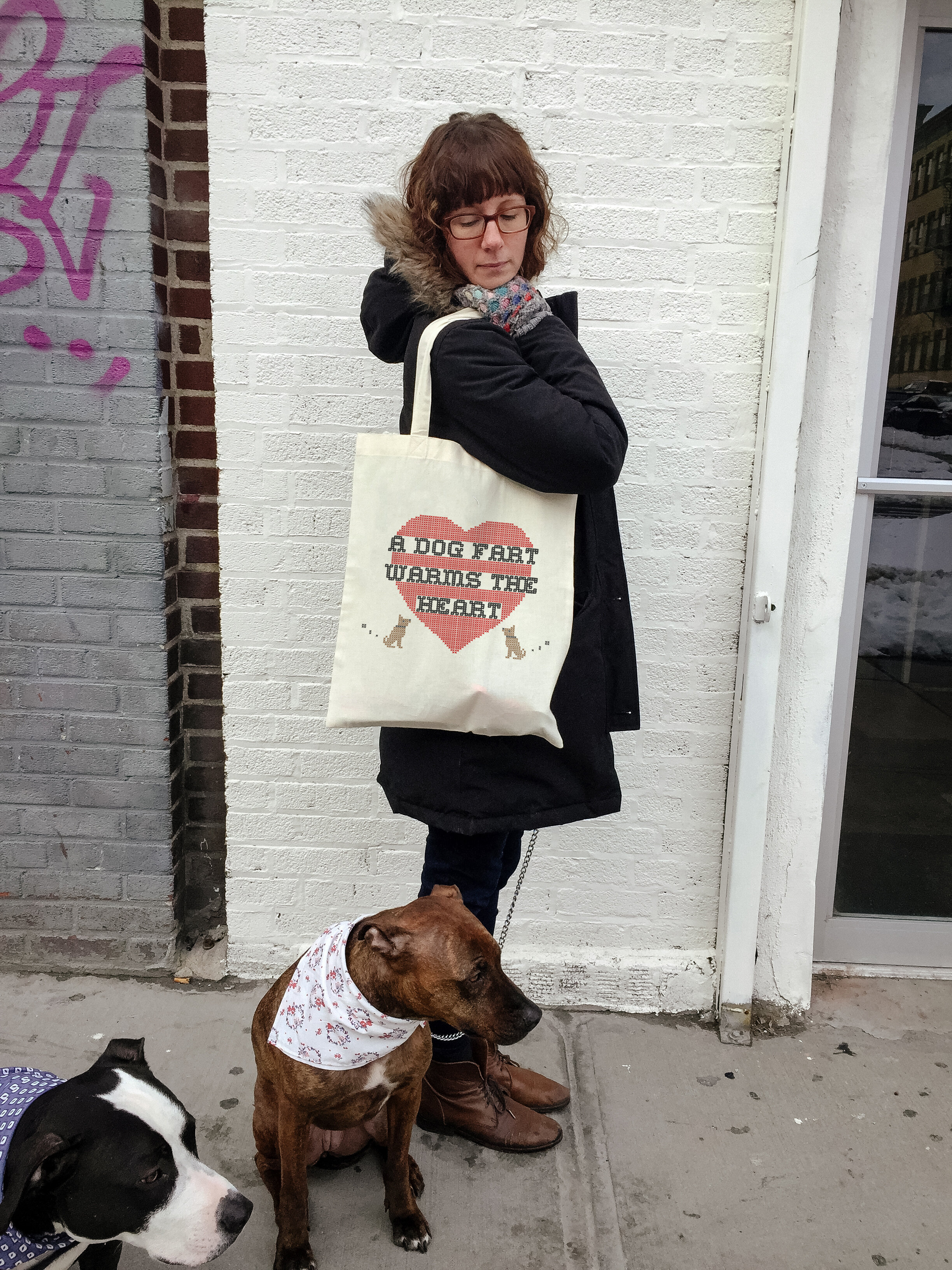 Dog Fart Tote 2 copy.jpg