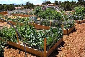 Community Garden Grants Available 