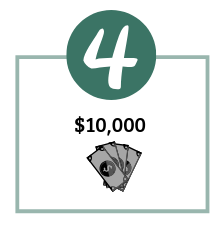 STEP 4 The donor or investor makes contribution.