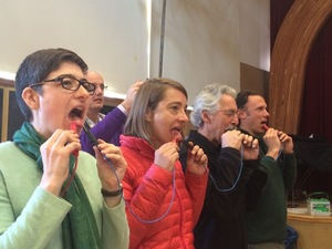 From Phenomena to Insight IV