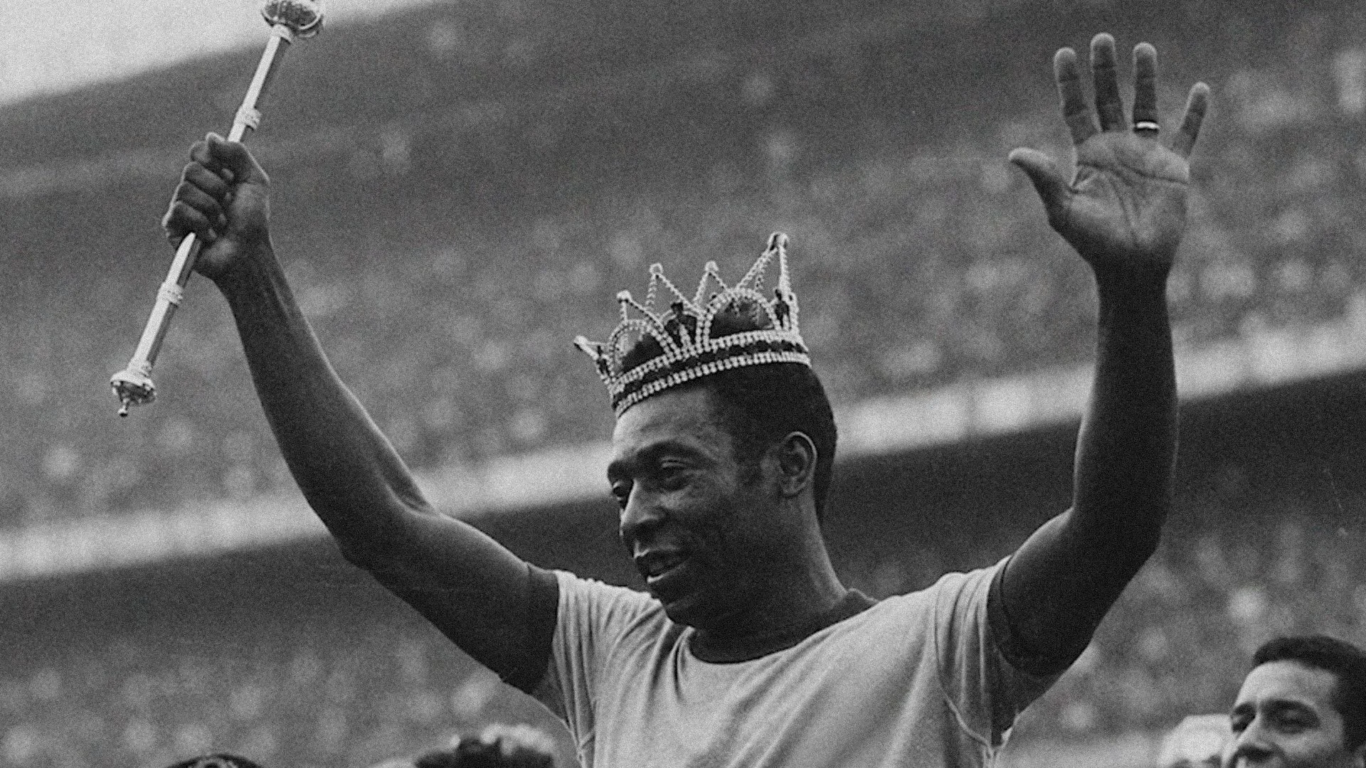 thumb-pelé.jpg