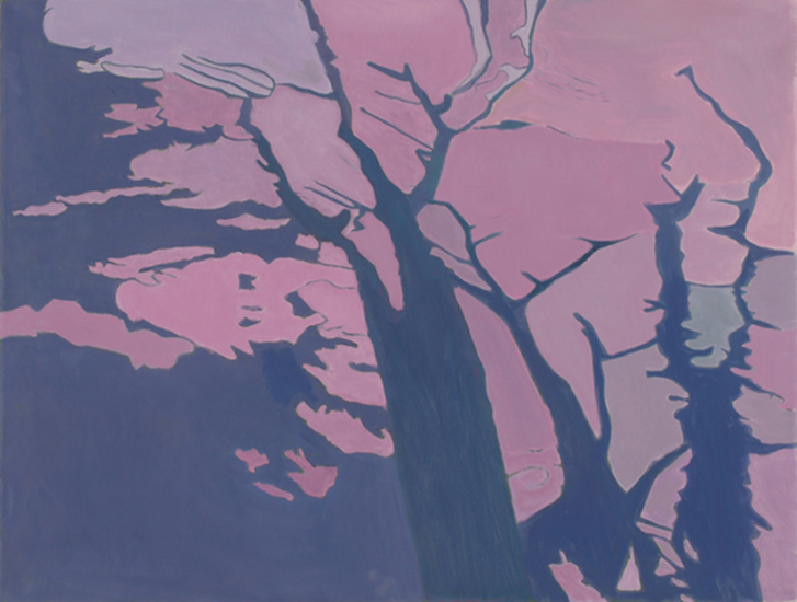 Shadows On The Grass II , 1998, Oil on linen, 26" x 40"