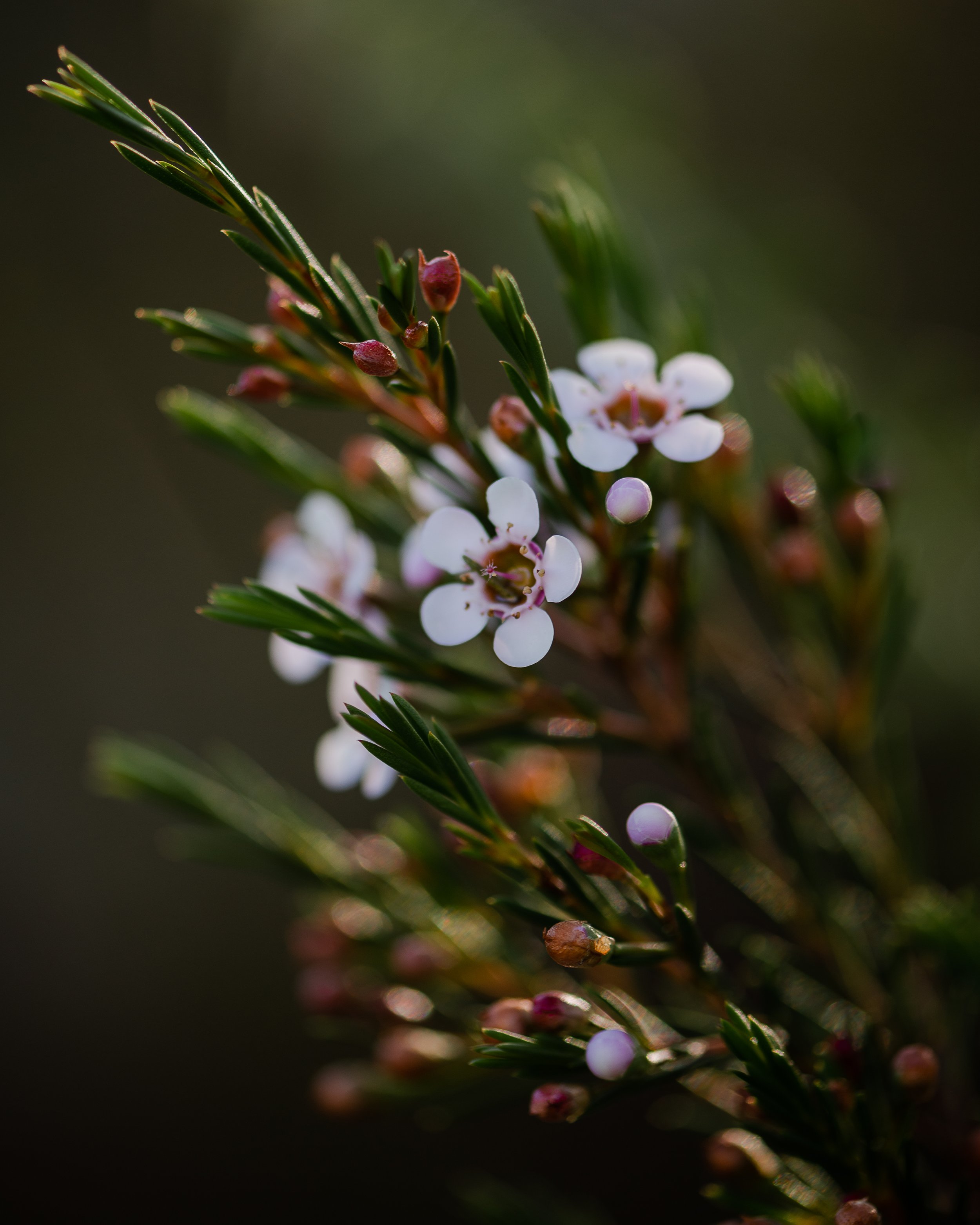 PrintSpring2023-3.jpg