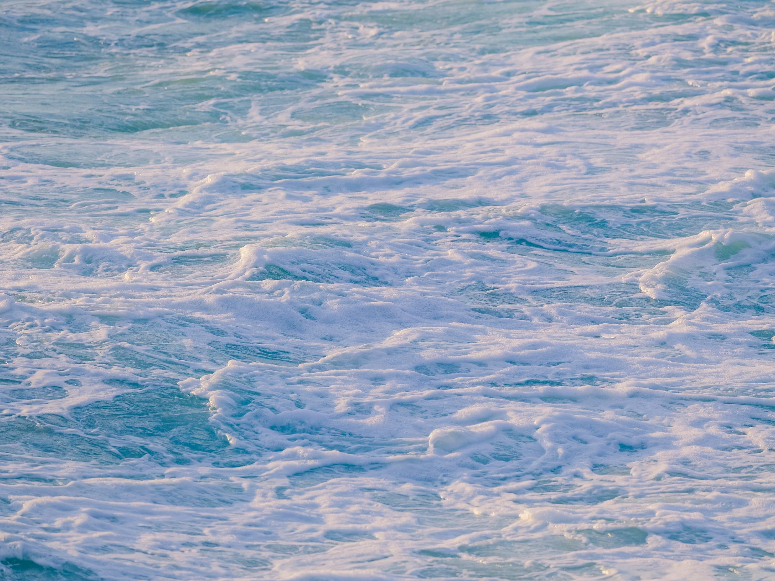 TheBeach__DSF2724_1.jpg