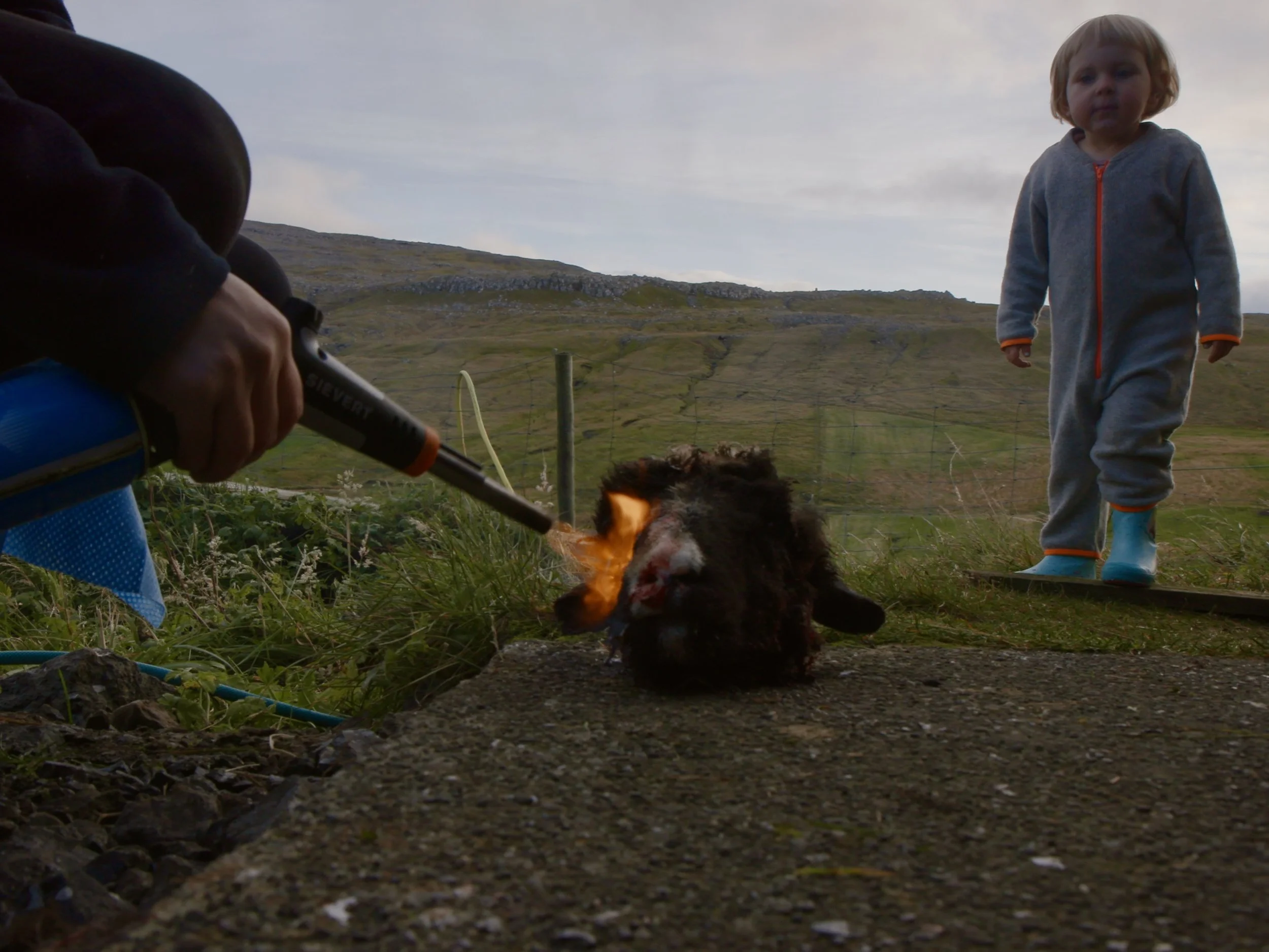 NBN-5-Burning-sheep-head-photo-by-Rasmus-Dinesen--Jesper-Jarl-Becker.jpeg