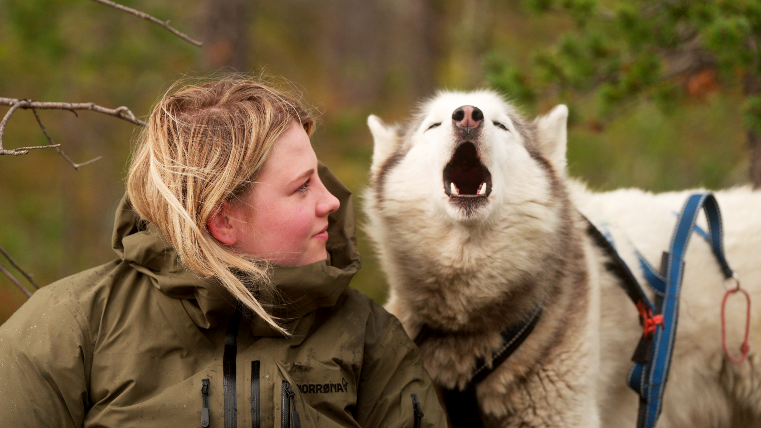   Folktales   Available on Digital   Watch Now  