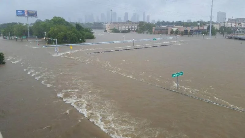 harvey4.jpg