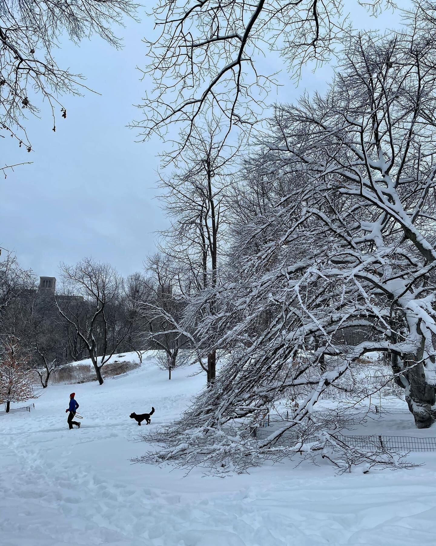 Leaving evidence that I did actually leave the apartment and experience the snow (storm?) on Tuesday (2020.02.02). ❄️
Went on an early morning walk through @centralparknyc while facetiming my grandma in Shanghai.
.
.
.
#snowinnyc #centralparknyc #mor