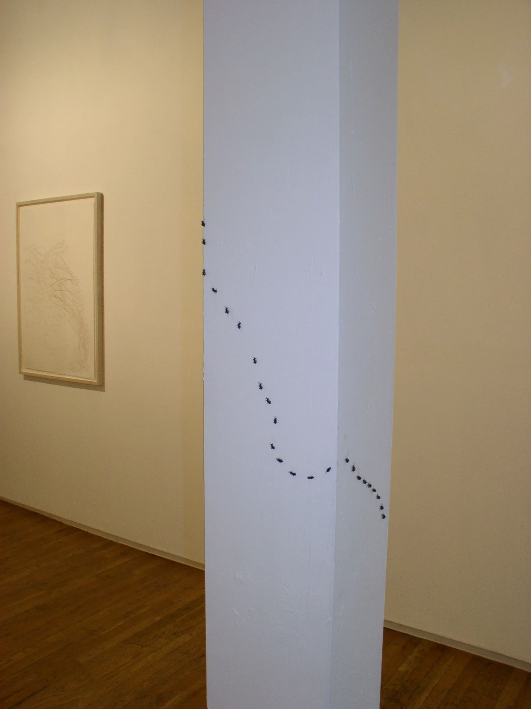 RMcB_Ants04.JPG