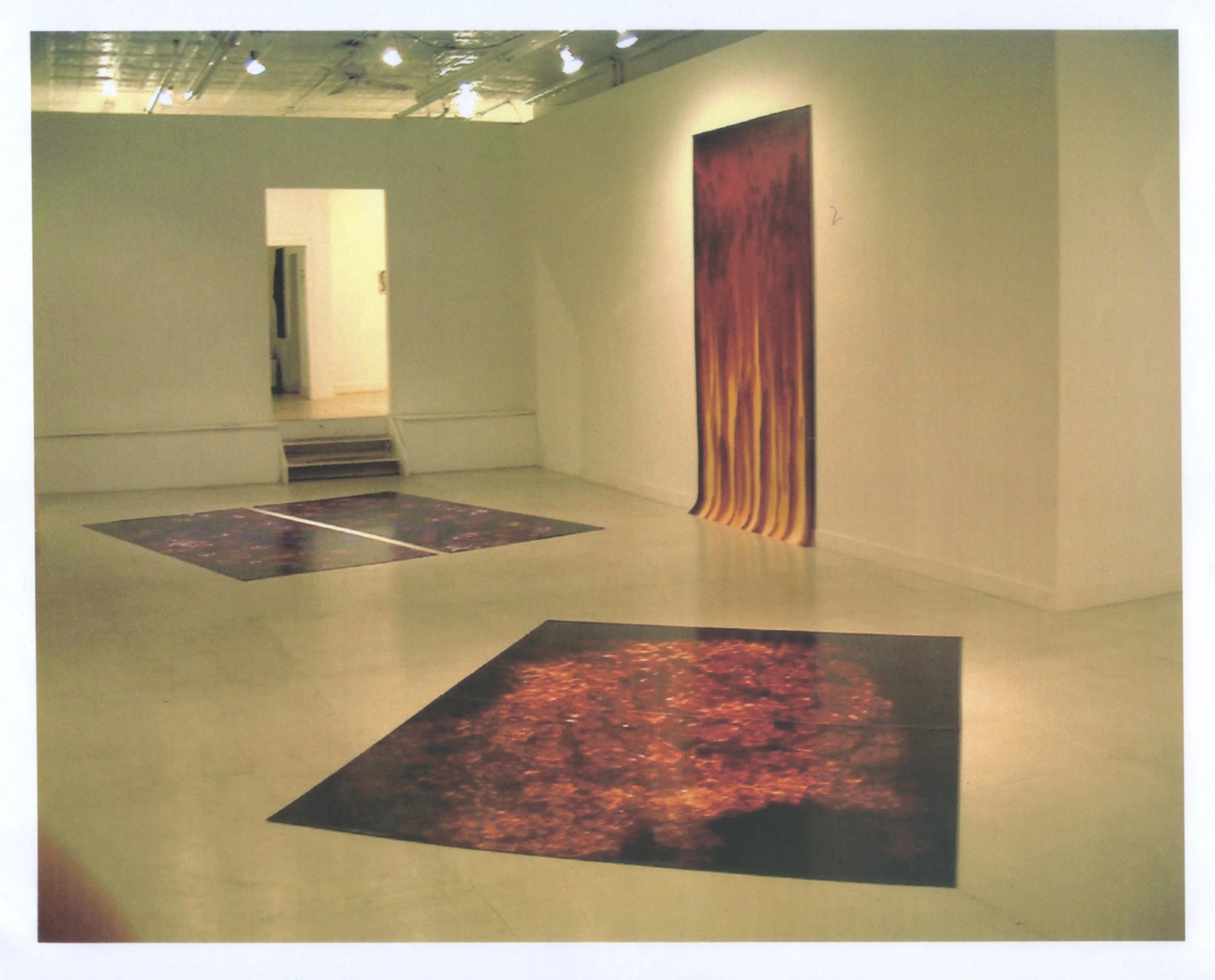 2002 03 15 Curtis Mitchell Installation shot.jpeg