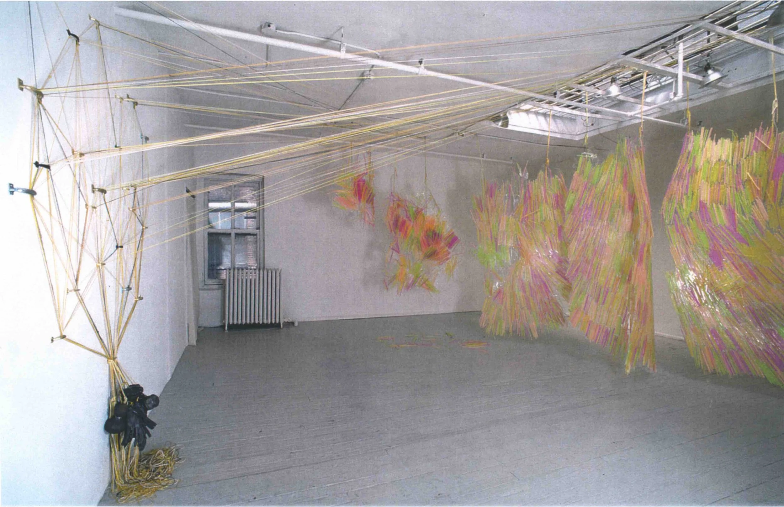 1998 05_21 toJune27 LisaHoke Ricochet 4.jpg