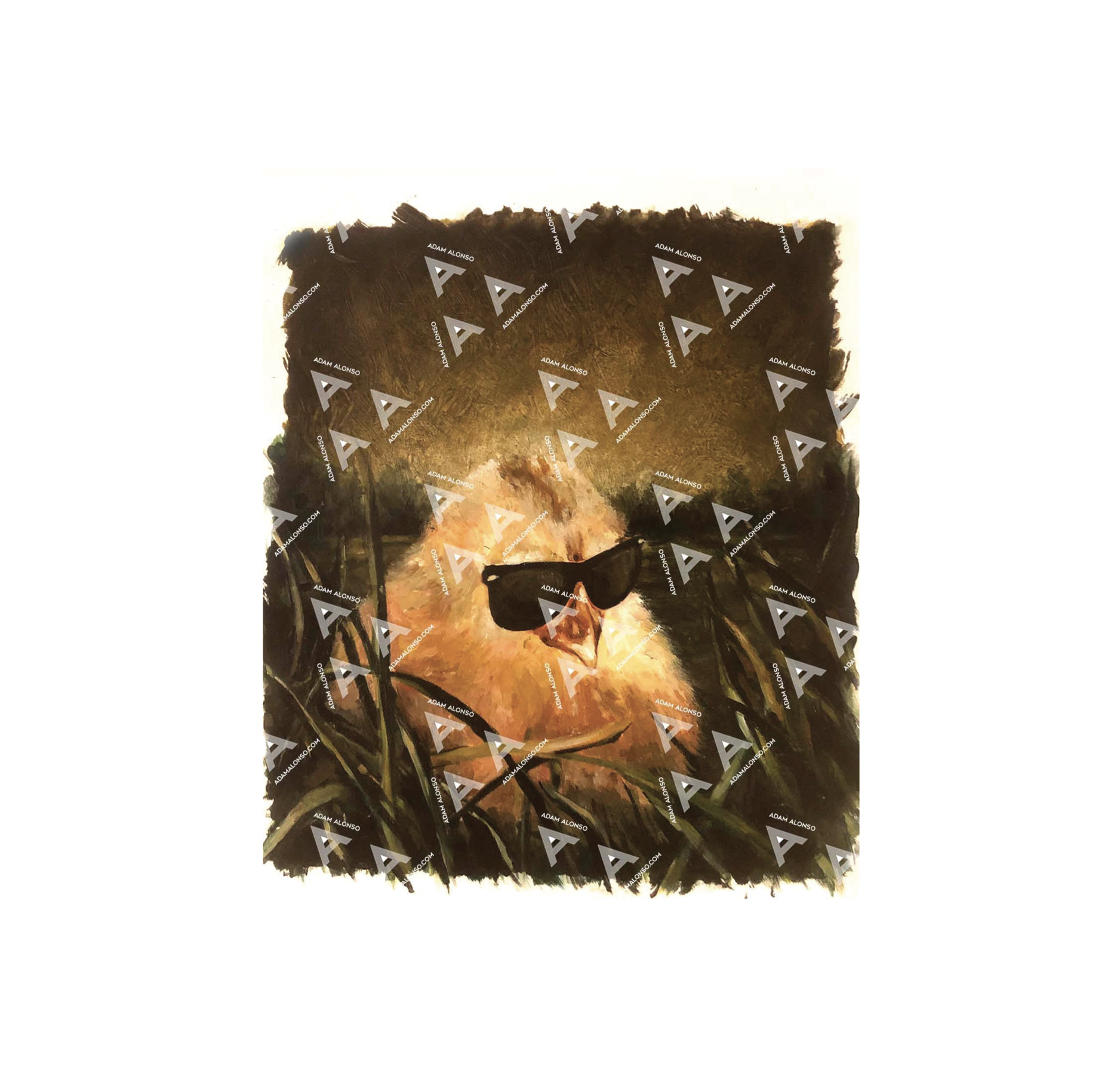 Screen Shot 2025-05-15 at 3.48.40 AM.png